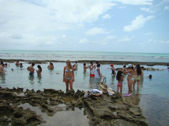 Piscina nos corais bem concorrida, na Praia de Carneiros, em Tamandaré - PE Piscina nos corais bem concorrida, na Praia de Carneiros, em Tamandaré - PE