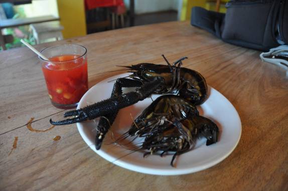 Pitu, enorme camarão de água doce, no restaurante do Nildo, na ilha Veneza, na Baía de Camamu - BA Pitu, enorme camarão de água doce, no restaurante do Nildo, na ilha Veneza, na Baía de Camamu - BA