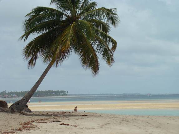 Praia de Carneiros, em Tamandaré - PE Praia de Carneiros, em Tamandaré - PE