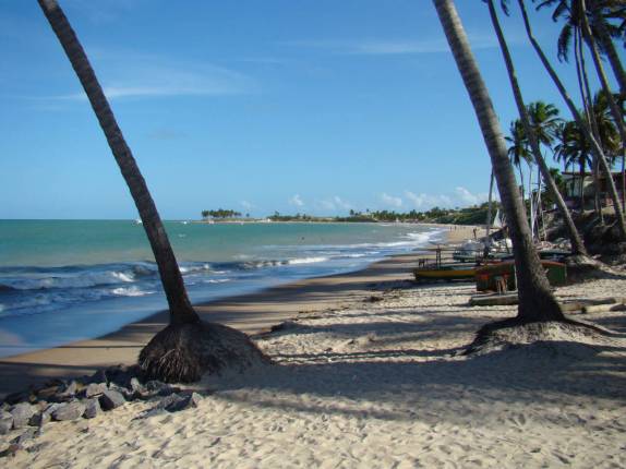 Praia de Maracajaú - RN Praia de Maracajaú - RN