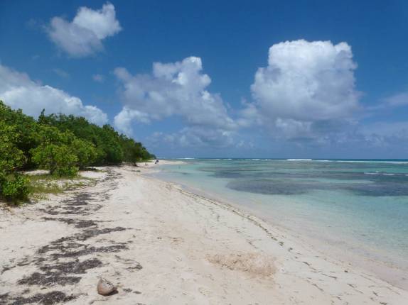 Praia em Sainte-Anne, no litoral sul de Grande Terre, em Guadalupe Praia em Sainte-Anne, no litoral sul de Grande Terre, em Guadalupe