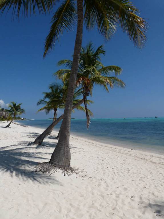 Praia paradisíaca em Little Cayman, nas Ilhas Caiman