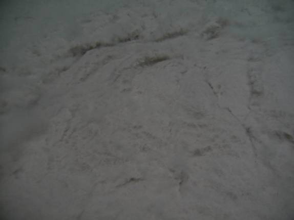 Pressão da água faz a areia 'rebolar' no fervedouro próximo à Mateiros, região do Jalapão - TO Pressão da água faz a areia 'rebolar' no fervedouro próximo à Mateiros, região do Jalapão - TO