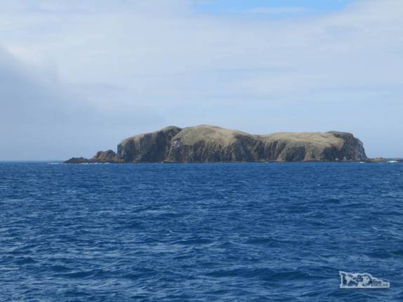Prion Island, na Geórgia do Sul