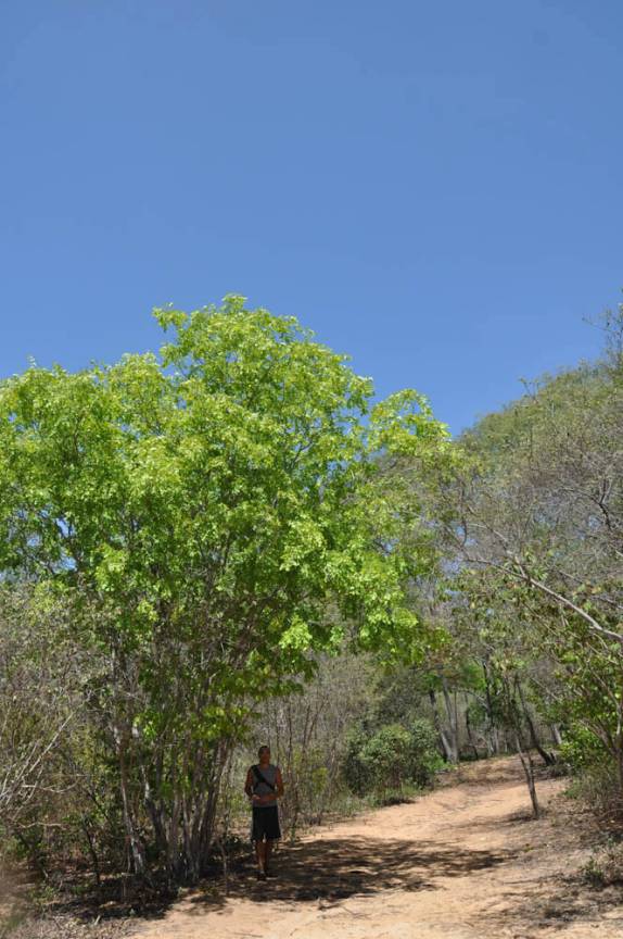 Procurando a sombra durante caminhada na Serra da Capivara, próximo à São Raimundo Nonato - PI