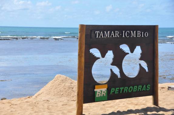 Projeto Tamar, na Praia do Forte - BA Projeto Tamar, na Praia do Forte - BA