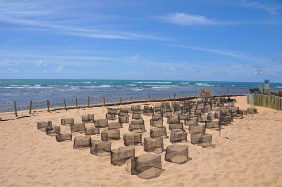 Projeto Tamar, na Praia do Forte - BA Projeto Tamar, na Praia do Forte - BA