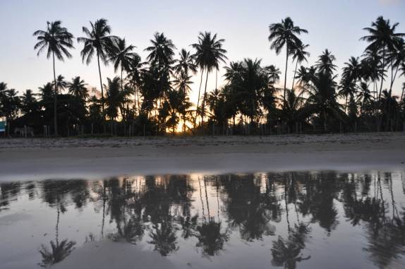 Pôr-do-sol entre coqueiros da praia de Bainema, próximo à Moreré, na Ilha de Boipeba - BA