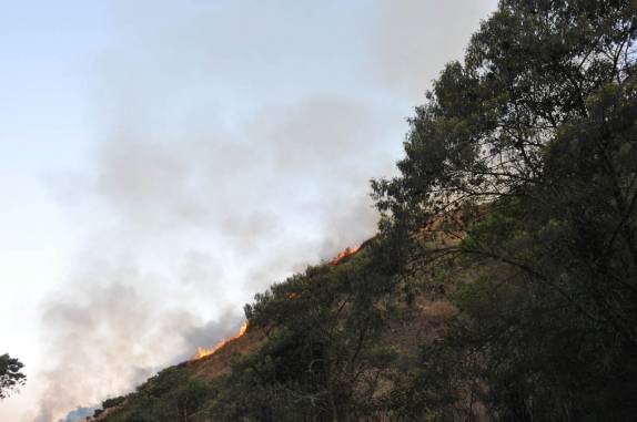Queimada na Serra da Bocaina - RJ Queimada na Serra da Bocaina - RJ