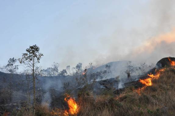 Queimada na Serra da Bocaina - RJ Queimada na Serra da Bocaina - RJ