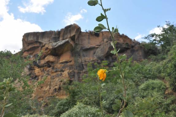 Raso da Catarina, região de Paulo Afonso - BA Raso da Catarina, região de Paulo Afonso - BA