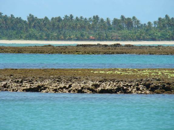 Recifes de Moreré, na Ilha de Boipeba - BA (praia de Bainema ao fundo)