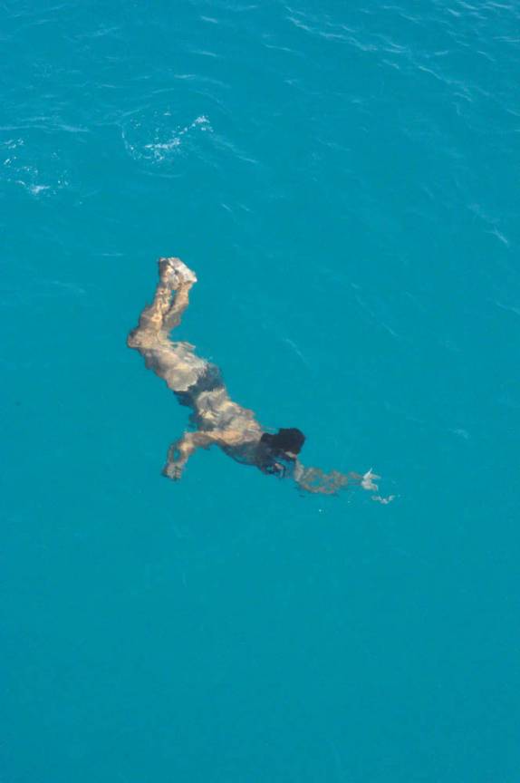 Refrescando-se no mar em Abrolhos - BA