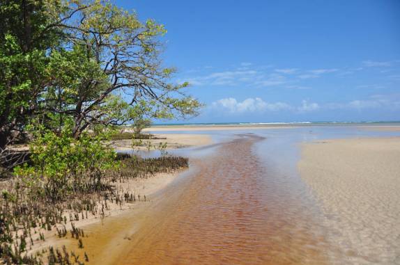 Riacho da Quinta Praia, em Morro de São Paulo - BA