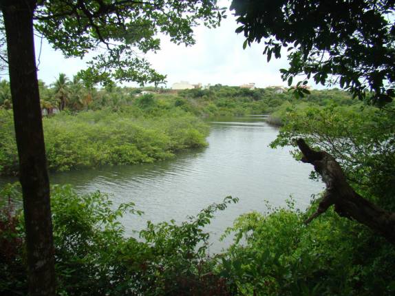 Rio ao lado de nossa pousada na praia de Tabatinga, em Jacumã, distrito de Conde - PB
