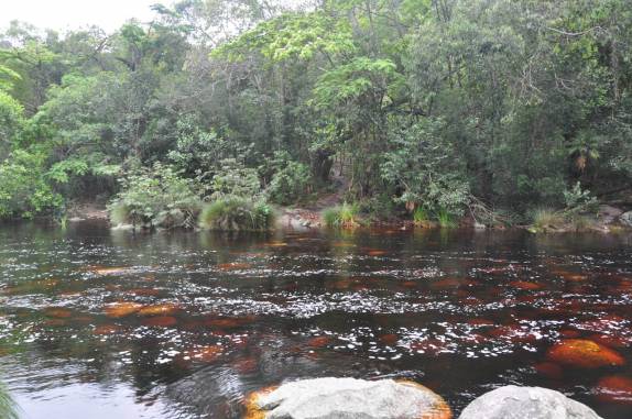 Rio avermelhado da Cachoeira da Fumacinha, região de Ibicoara, na Chapada Diamantina - BA