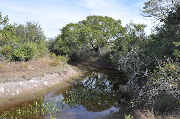 Rio Preto, no Parque Nacional Grande Sertão Veredas, no noroeste de MG (região de Chapada Gaúcha)