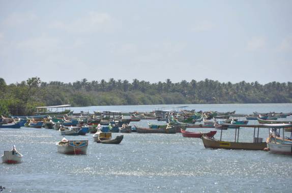 Rio São Francisco em Piaçabuçu - AL