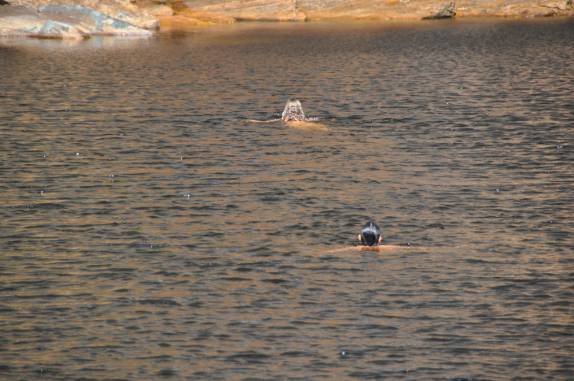 Rodrigo e Ana nadando no poço da Cachoeira do Tabuleiro, no Parque Estadual da Serra do Intendente, em Tabuleiro - MG Rodrigo e Ana nadando no poço da Cachoeira do Tabuleiro, no Parque Estadual da Serra do Intendente, em Tabuleiro - MG