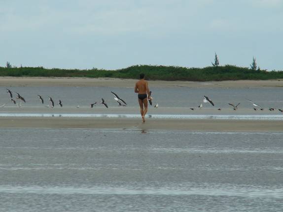 Rodrigo em banco de areia, correndo atrás de pássaros na Barra do Ararapira Rodrigo em banco de areia, correndo atrás de pássaros na Barra do Ararapira