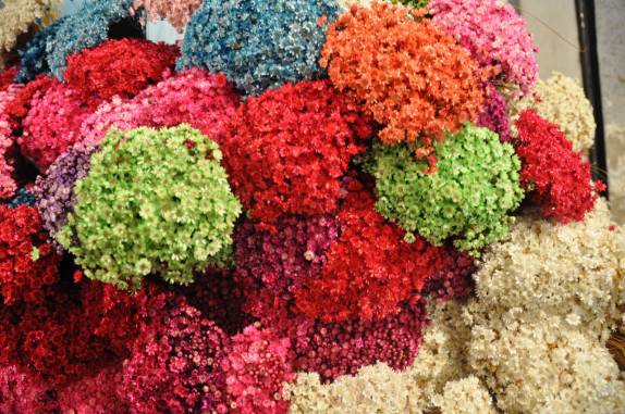 Sempre-Vivas pintadas, no Mercado Municipal de Belo Horizonte - MG Sempre-Vivas pintadas, no Mercado Municipal de Belo Horizonte - MG