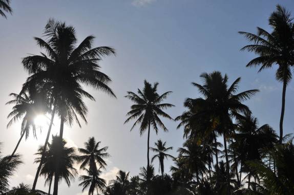 Sol entre coqueiros na praia de Bainema, próximo à Moreré, na Ilha de Boipeba - BA