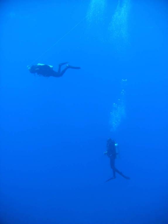 Subida do mergulho na Lage Noronha, em Fernando de Noronha - PE Subida do mergulho na Lage Noronha, em Fernando de Noronha - PE