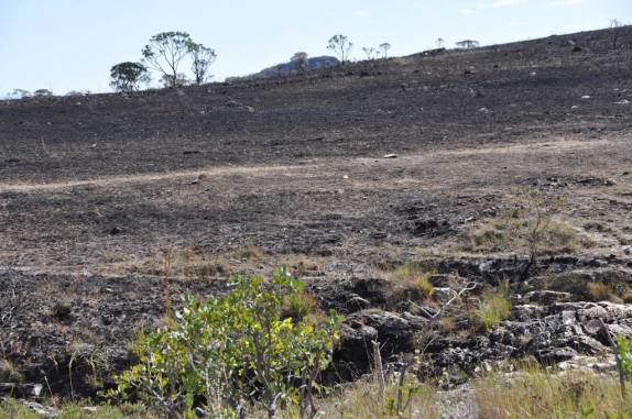 Terra queimada no alto da serra em Delfinópolis - MG Terra queimada no alto da serra em Delfinópolis - MG
