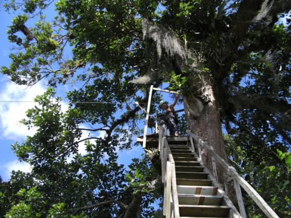 Tirolesa no Rio das Contas, em Taboquinha, região de Itacaré - BA