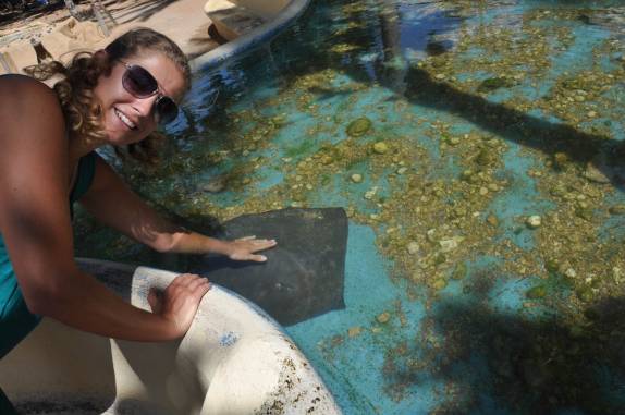 Tocando uma arraia, no Projeto Tamar, na Praia do Forte - BA Tocando uma arraia, no Projeto Tamar, na Praia do Forte - BA