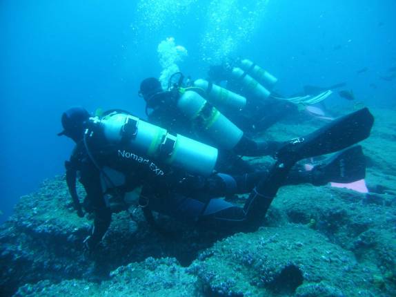 Todos à espera de um tubarão-baleia em mergulho na Isla Darwin, em Galápagos Todos à espera de um tubarão-baleia em mergulho na Isla Darwin, em Galápagos