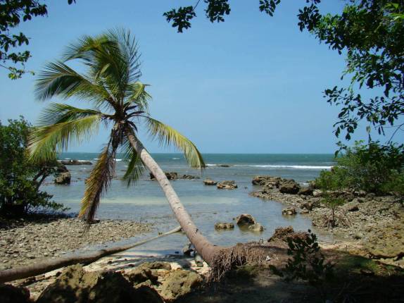 Trecho da trilha entre as praias da Cuiera e da Barra, na Ilha de Boipeba - BA Trecho da trilha entre as praias da Cuiera e da Barra, na Ilha de Boipeba - BA