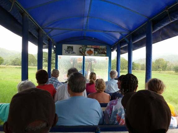 Trenzinho que nos leva às cachoeiras de Ys Falls, no interior da Jamaica