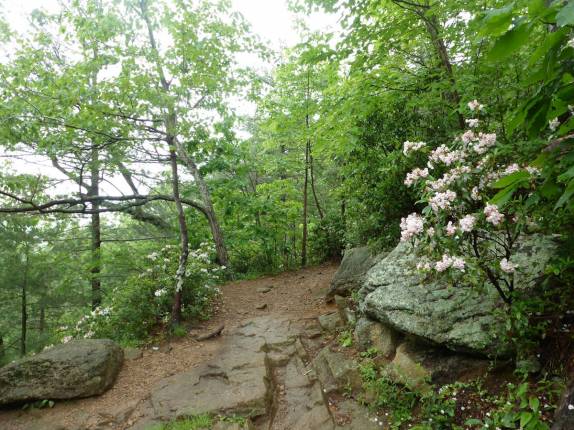Trilha para subir a Old Rag Mountain, no Shennandoah National Park, na Virginia, nos Estados Unidos Trilha para subir a Old Rag Mountain, no Shennandoah National Park, na Virginia, nos Estados Unidos