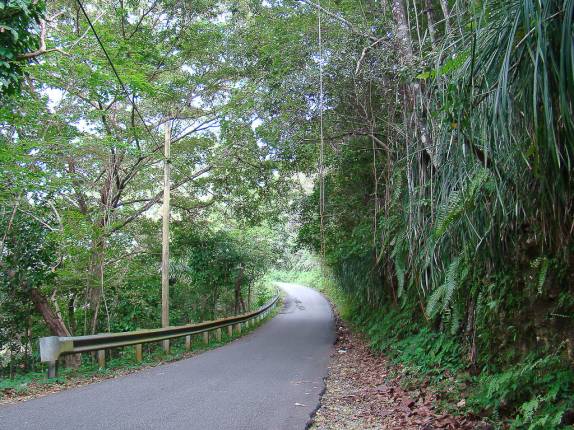 TÃpica estrada cortando o interior montanhoso de Porto Rico TÃpica estrada cortando o interior montanhoso de Porto Rico