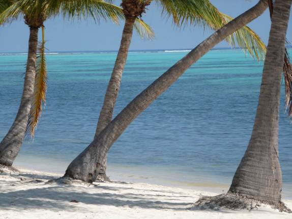 Típica praia caribenha em Little Cayman, nas Ilhas Caiman