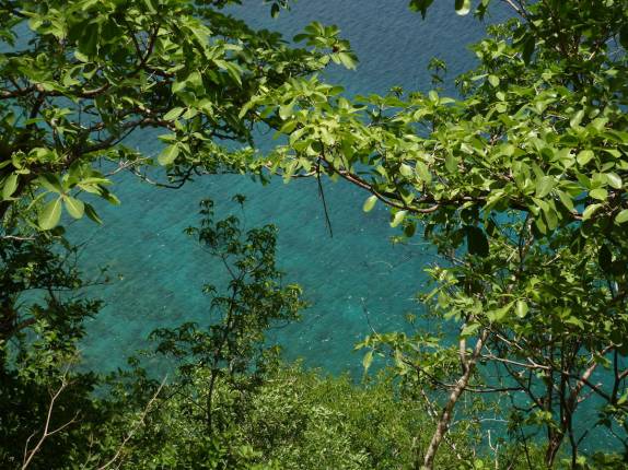 Águas transparentes no Cabrits National Park, em Portsmouth, no norte de Dominica, no Caribe