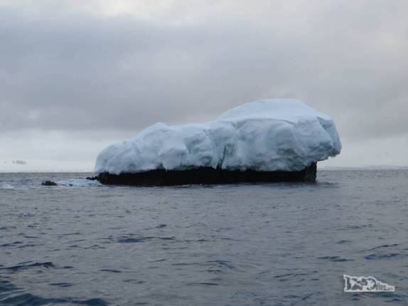 Um bloco de gelo se equilibra sobre uma rocha no mar ao redor Half Moon Island, na Antártida Um bloco de gelo se equilibra sobre uma rocha no mar ao redor Half Moon Island, na Antártida