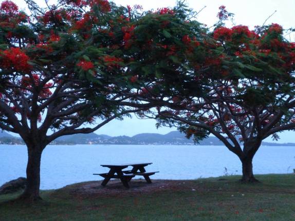 Um  delicioso recanto na estrada pouco antes de chegar em Le Marin, no sul de Martinica