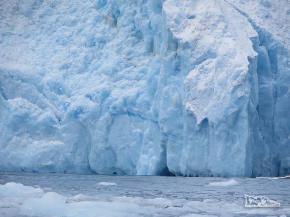 Uma geleira encontra o mar em Point Wild, em Elephant Island, na Antártida