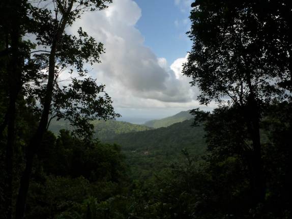 Vista panorâmica em trilha do Trois Pitons National Park, em Dominica